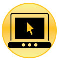 Visit the Website